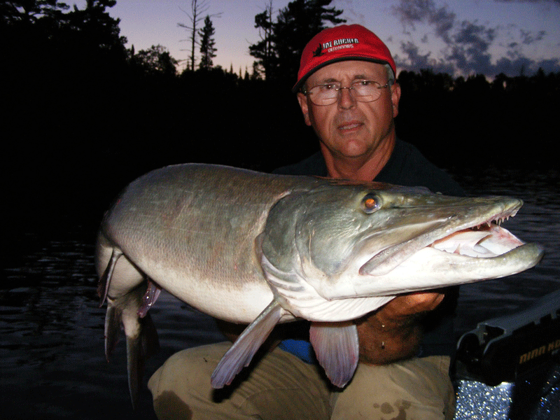 joe-bucher-musky-2011-july
