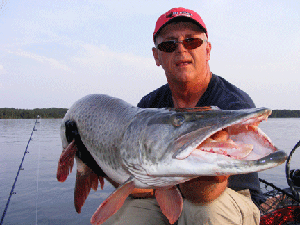 joe-bucher-musky-2012-3a
