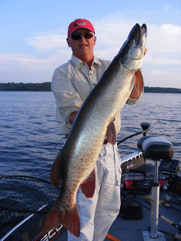 joe-bucher-musky-2012-4a