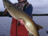 jb-musky-2011-wi-september