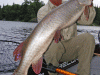 joe-bucher-musky-2012-2a
