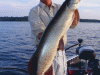 joe-bucher-musky-2012-4a