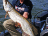 joe-bucher-musky-dscf1727