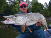 joe-bucher-musky-tiger-2010