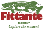 Fittante-Taxidermy-web