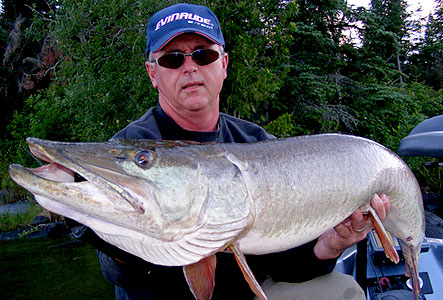 homepage Fishing With Joe Bucher - Musky Fishing